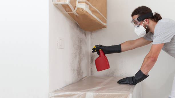 Professional Crawl Space Mold Removal technician working in Plainsboro, NJ