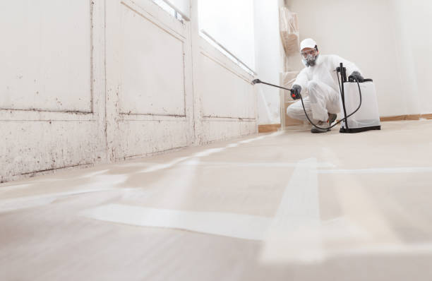 24/7 Emergency Crawl Space Mold Removal experts in Plainsboro, NJ
